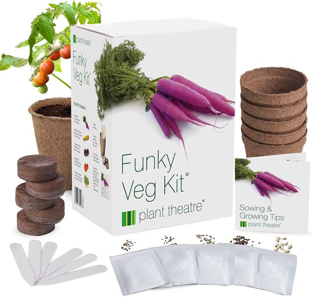 This Rainbow Veggie Growing Kit Is the Perfect Way To Welcome