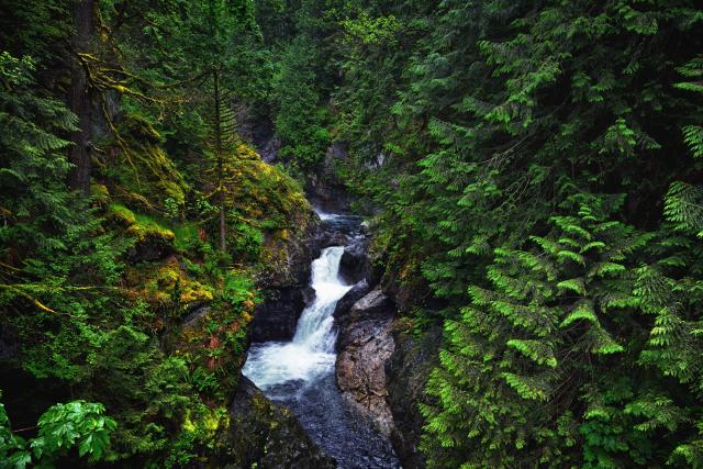 13 Best Hikes in Seattle