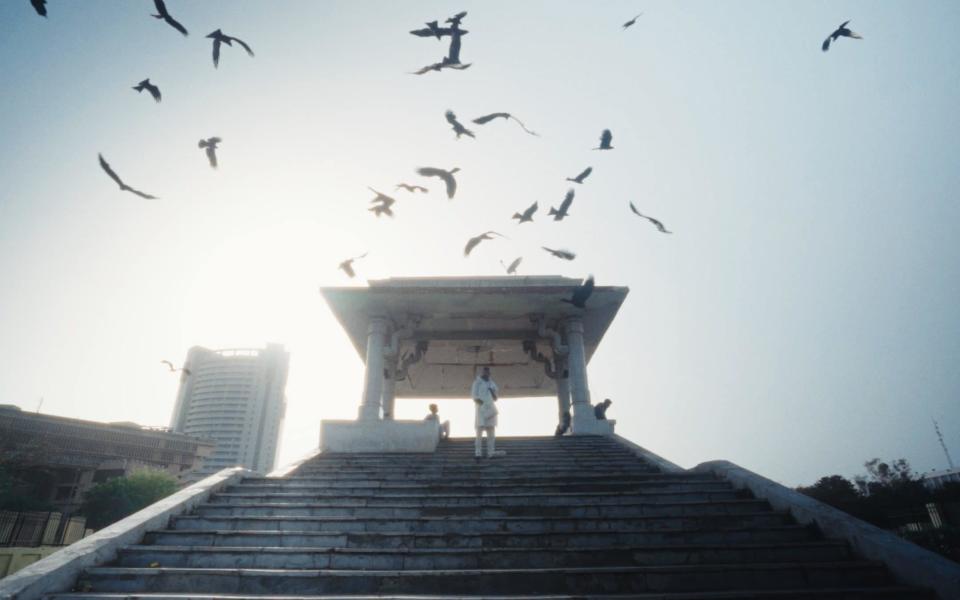 Delhi's skies swarm with black kites