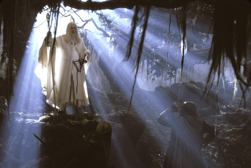 Ian McKellen in "The Lord of the RIngs: The Two Towers"