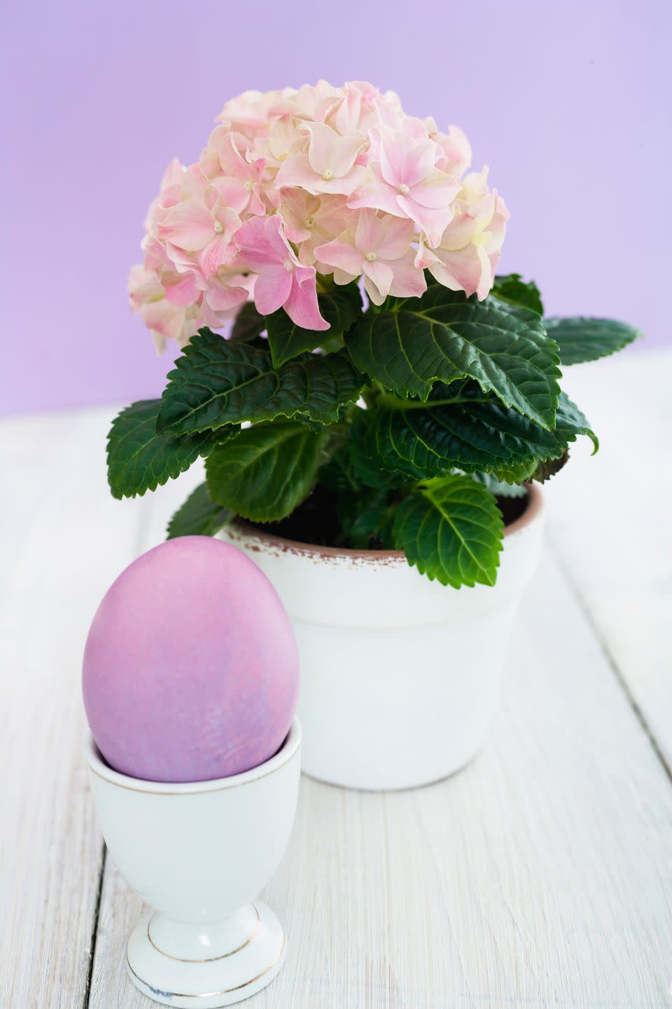 easter egg and a flower