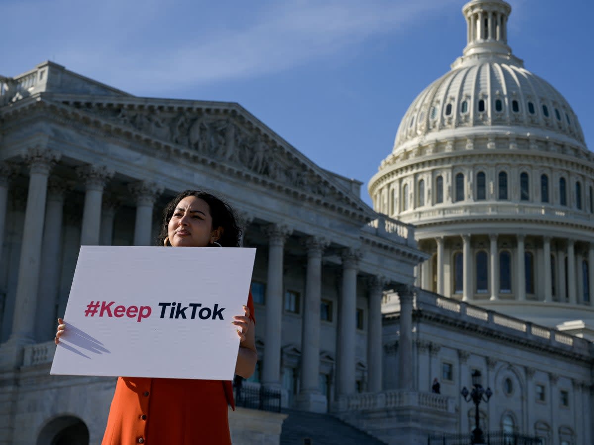 A protester outside the US Capitol in Washington, DC on 12 March, 2024 (REUTERS/Craig Hudson)