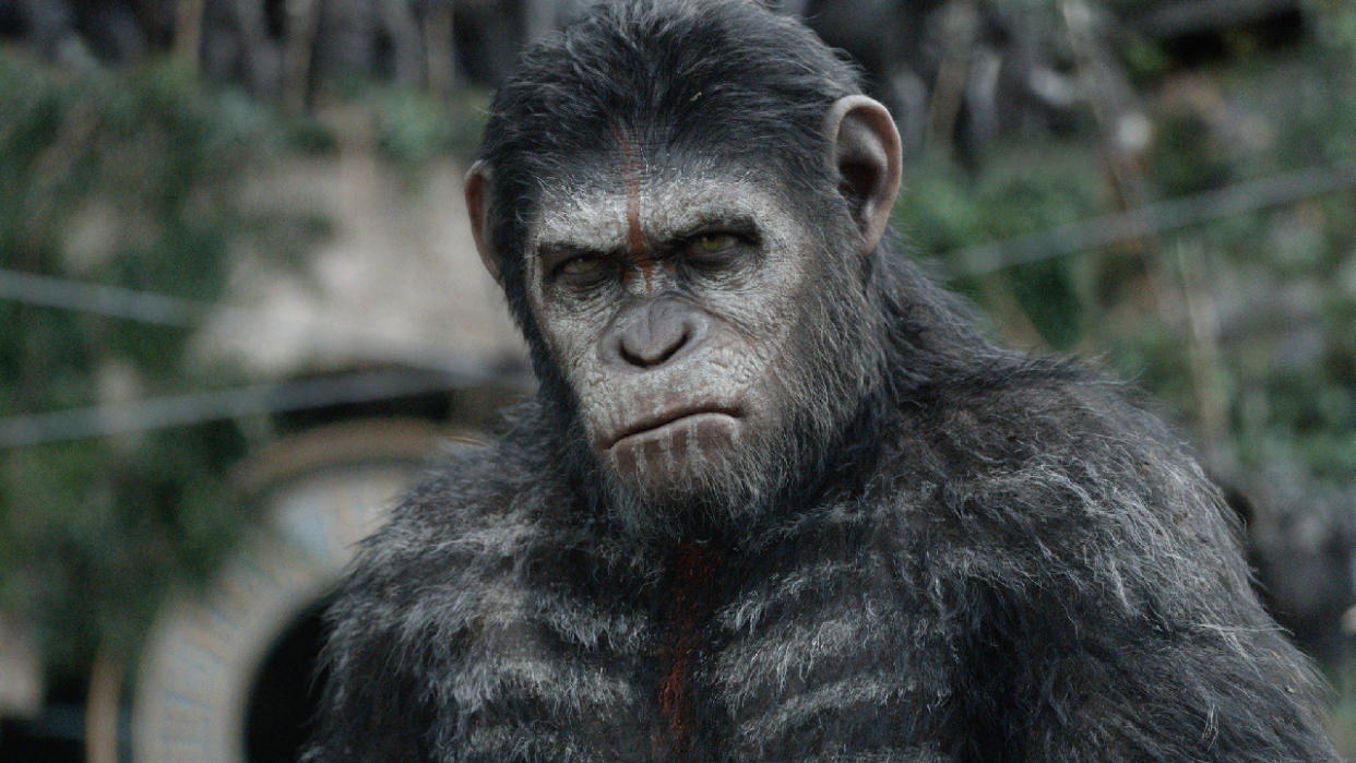  Caesar (Andy Serkis) in Dawn of the Planet of the Apes 