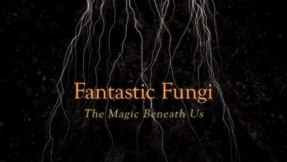 Fantastic Fungi title screen