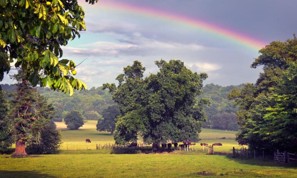 <span>Photograph: Loop Images Ltd/Alamy Stock Photo</span>