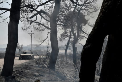 Local officials spoke of 'total destruction' of the forest with the fire still active