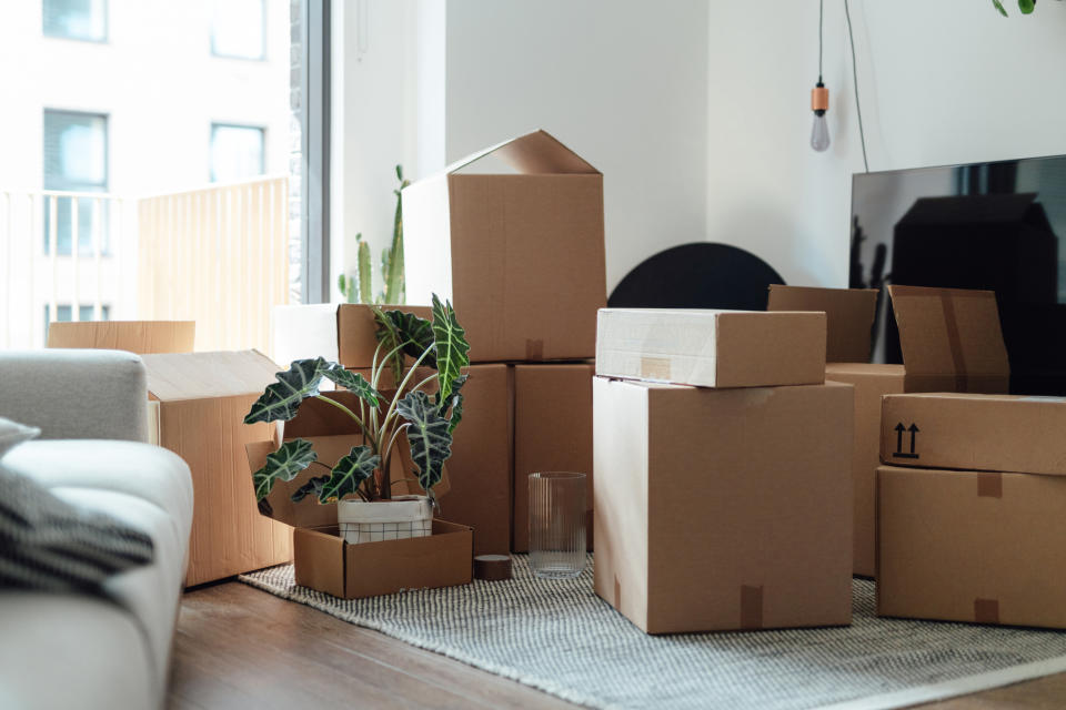 A living room with several packed cardboard boxes, a plant in a box, and some furniture, indicating a move or relocation