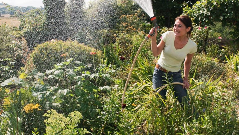 Get a great garden hose for less thanks to this deal.