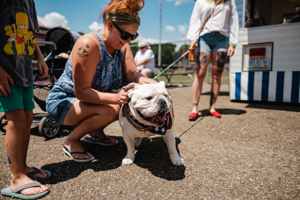 5-year-old English Bulldog 'Thursdton' got some love from passers by during the 2021 First Town Days Festival at Tuscora Park. TIMES-REPORTER/ANDREW DOLPH