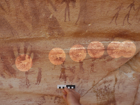 These tiny hands (see highlighted circles) are not human, but actually match those of the desert monitor lizard.