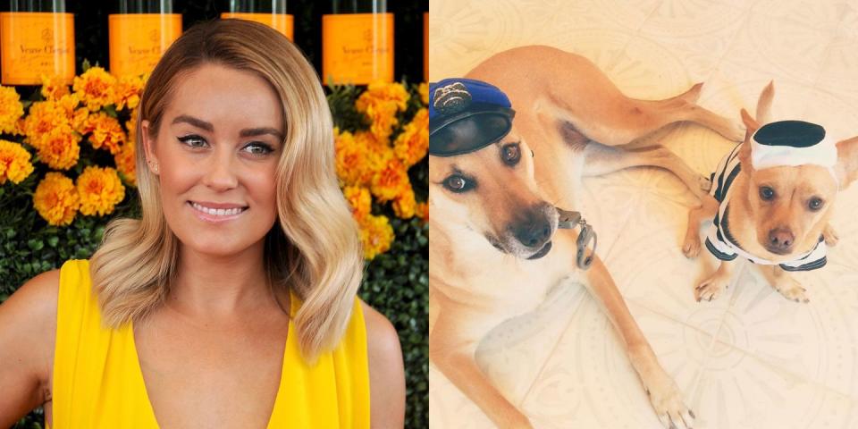 Lauren Conrad's Dogs