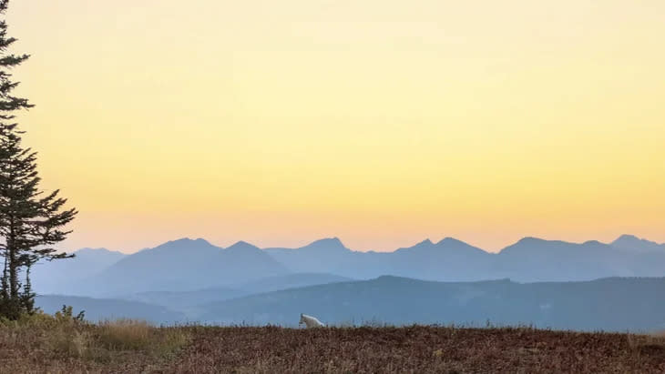 <span class="article__caption">The view from a campsite I drove my truck to. </span> (Photo: Wes Siler)