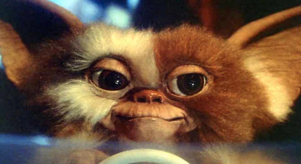 Gizmo (Credit: Warner Bros)