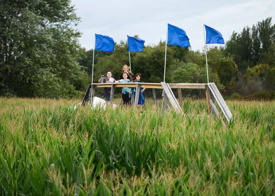 Families walk through the corn maze during opening weekend of the Davis Mega Farm Festival at Davis Farmland in 2019.