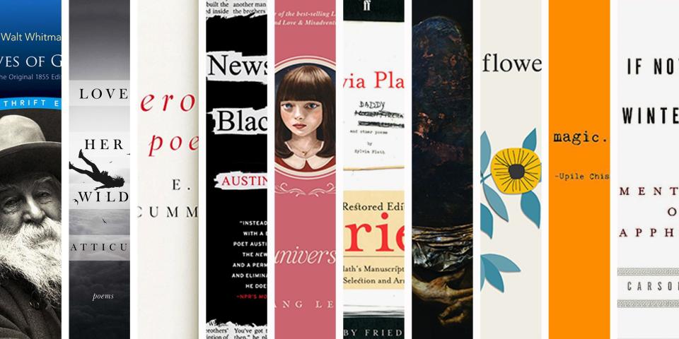 While You Preorder Amanda Gorman’s Poetry Collection, Check Out These 12 Other Amazing Poetry Books