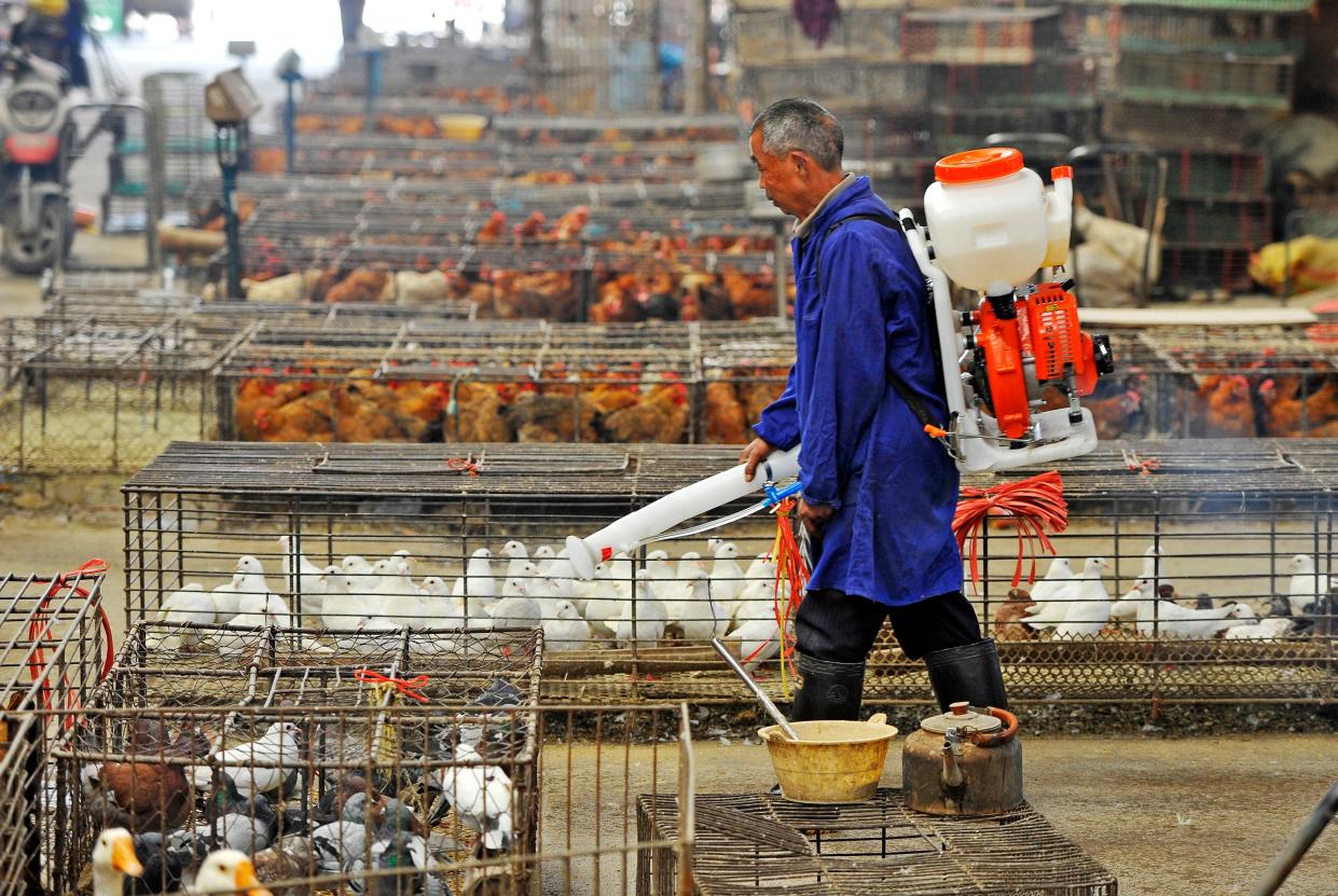 Concern about zoonotic diseases have grown since coronavirus outbreak in Wuhan, where livestock markets are sterilised (AFP via Getty Images)