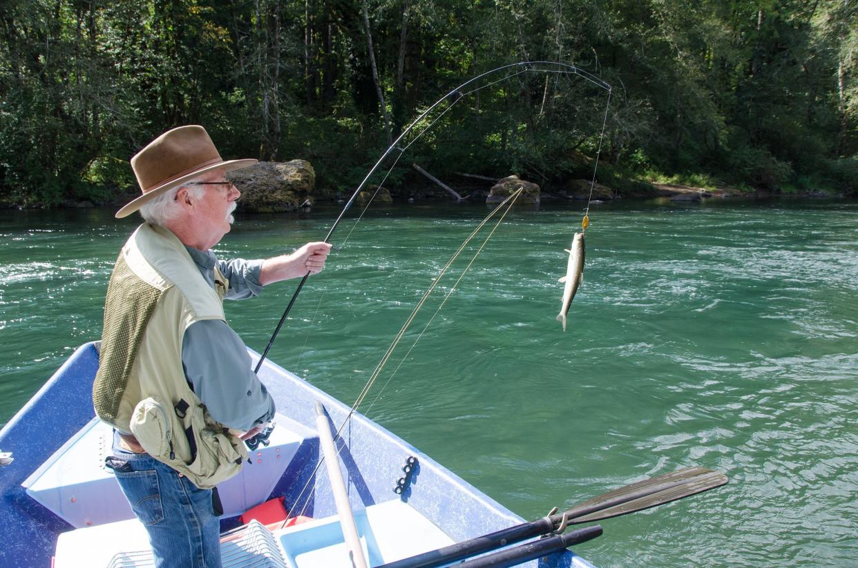 elderly fisherman reels in a rainbow trout from his drift boat on Oregon's Mckenzie River near Eugene