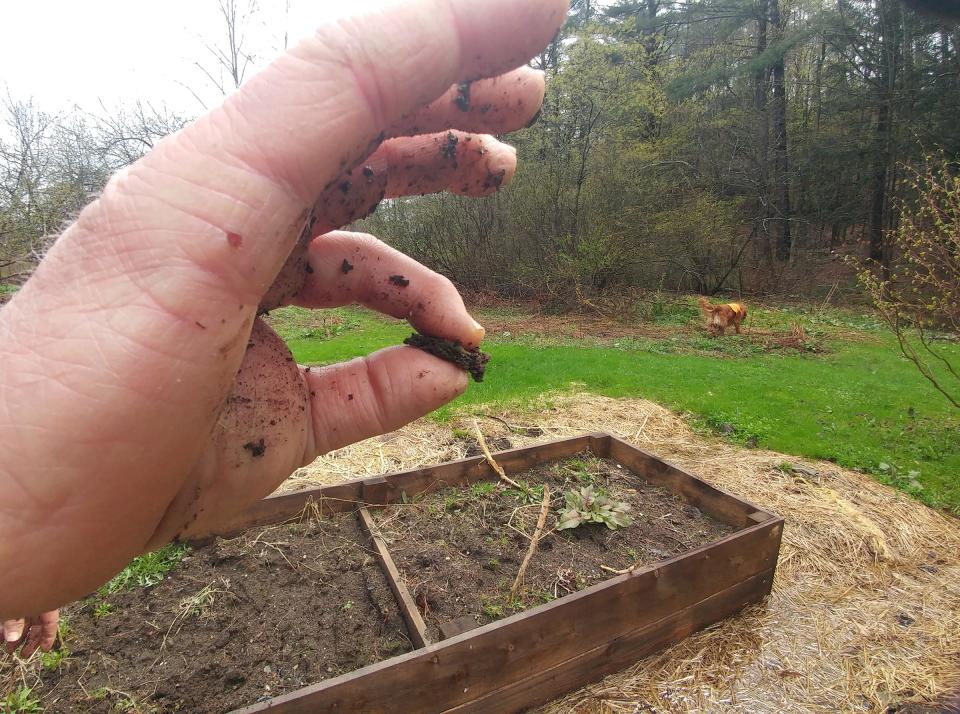 Rub moist soil between your fingers to determine soil type.