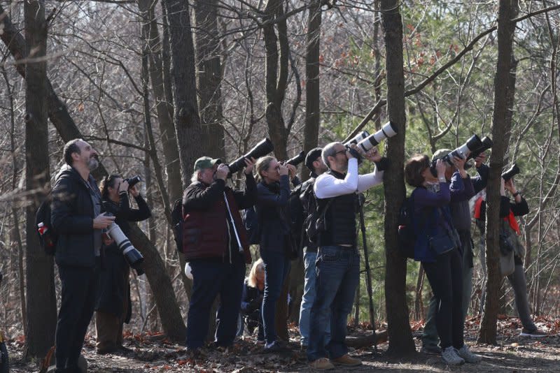 Photographers and bird watchers look up at Flaco, the Eurasian eagle owl who escaped from its vandalized enclosure at the Central Park Zoo, as he sits on a tree branch in the north west area of Central Park on Monday, February 20, 2023 in New York City. Flaco died last month and organizers have launched a drive for a statue. Photo by John Angelillo/UPI