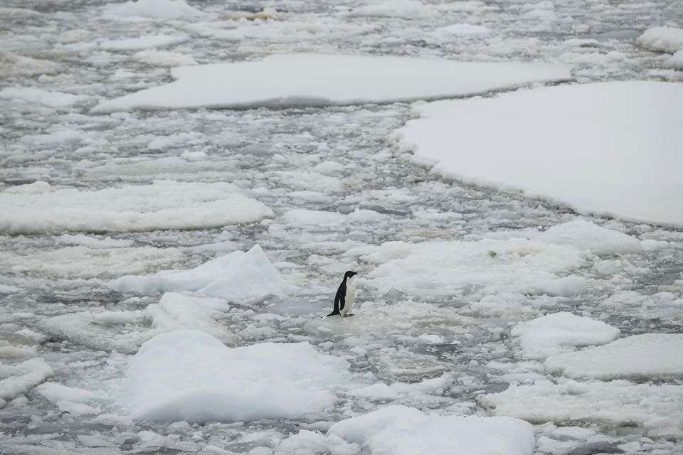 March: Heat Wave Hits Antarctica