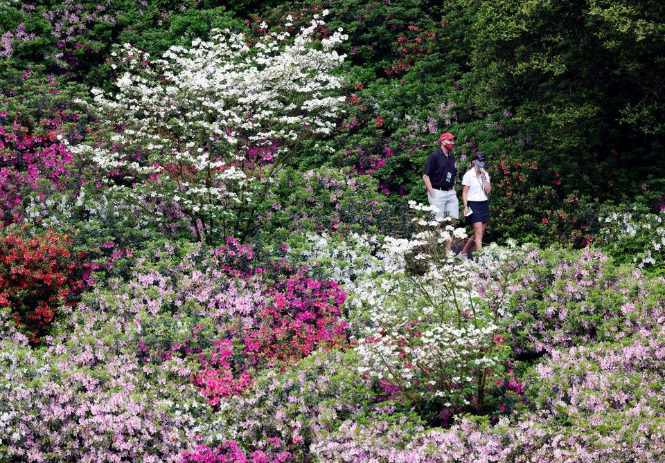 Patrons walk along the azaleas near the no. 6 fairway during Friday's second round for the Masters at Augusta National Golf Club, Friday, April 9, 2021, in Augusta, Georgia.
