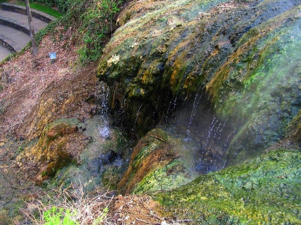 Hot spring water dribbling down a rock formation in Hot Springs National Park.