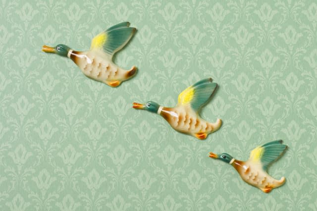 Flying duck ornaments on wallpapered wall