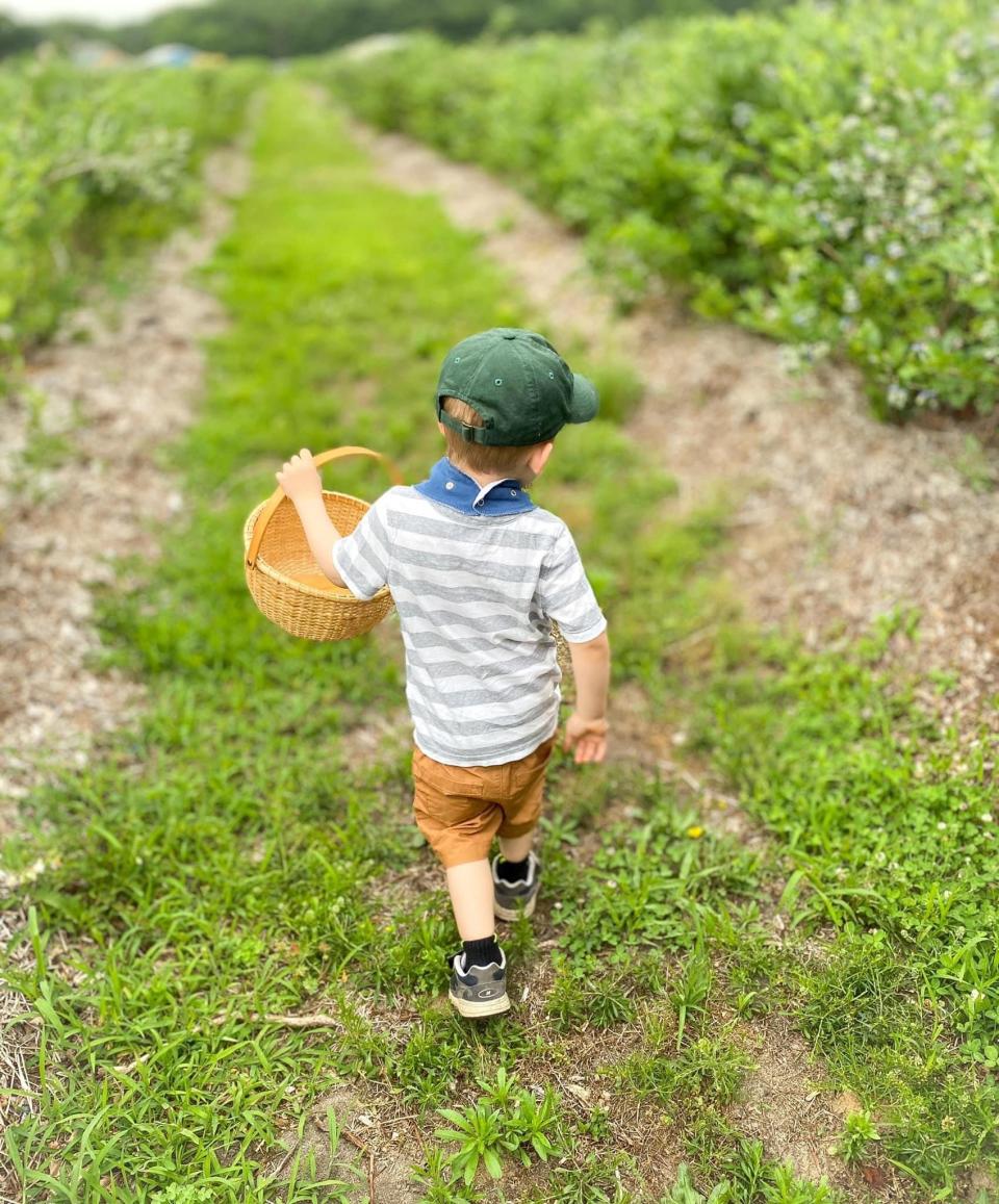 This boy is ready to pick blueberries at Emery's Farm in the New Egypt section of Plumsted.