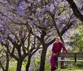 Anglican Archbishop of Perth Roger Herft enjoys the jacaranda treens in full bloom in Mount Street. Picture: Nic Ellis/The West Australian