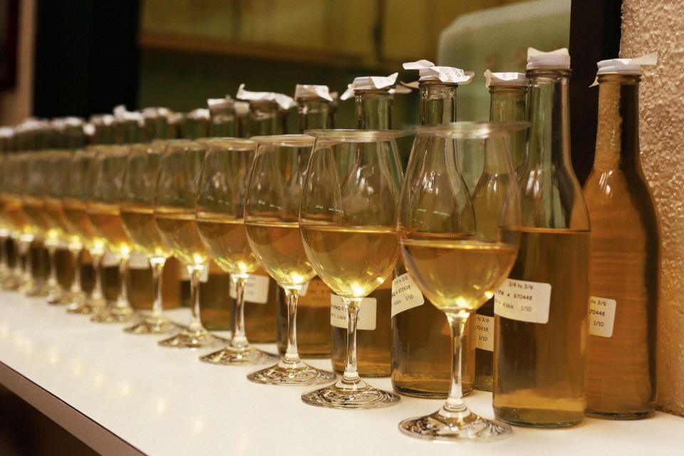 PHOTO: In an undated stock photo, barrels of Chardonnay are sampled by a panel of experts in Napa Valley, Calif. (STOCK PHOTO/Getty Images)