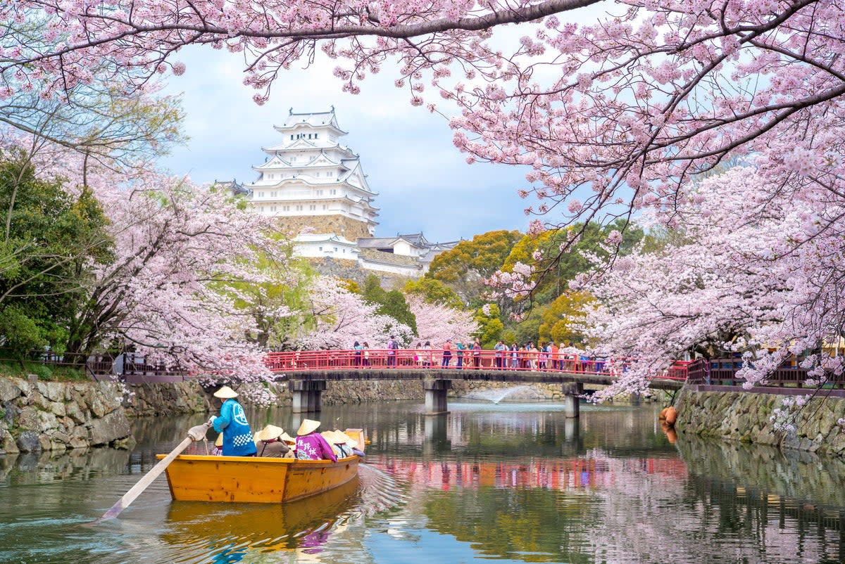 Take a 16 day tour of Japan’s historic highlights (Getty Images)