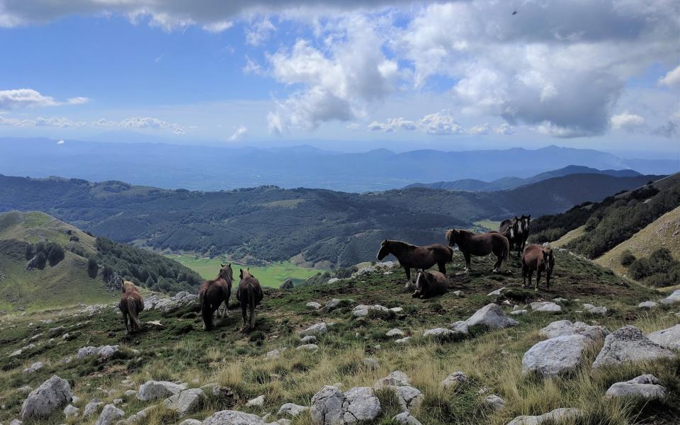 molise hills - Sasha Vasilyuk