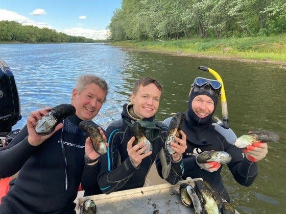 DNR, University of Minnesota and National Park biologists display 100+ year old spectaclecase mussels found in the St. Croix River.