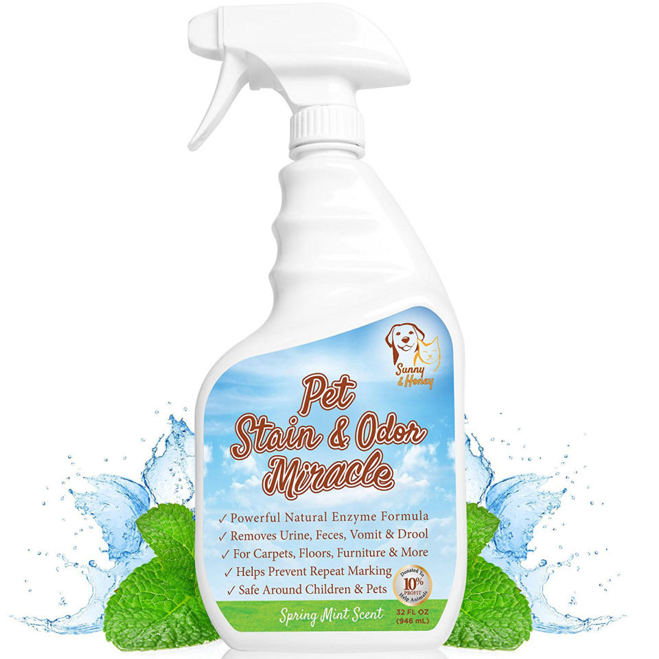 Pet Stain and Odor Miracle