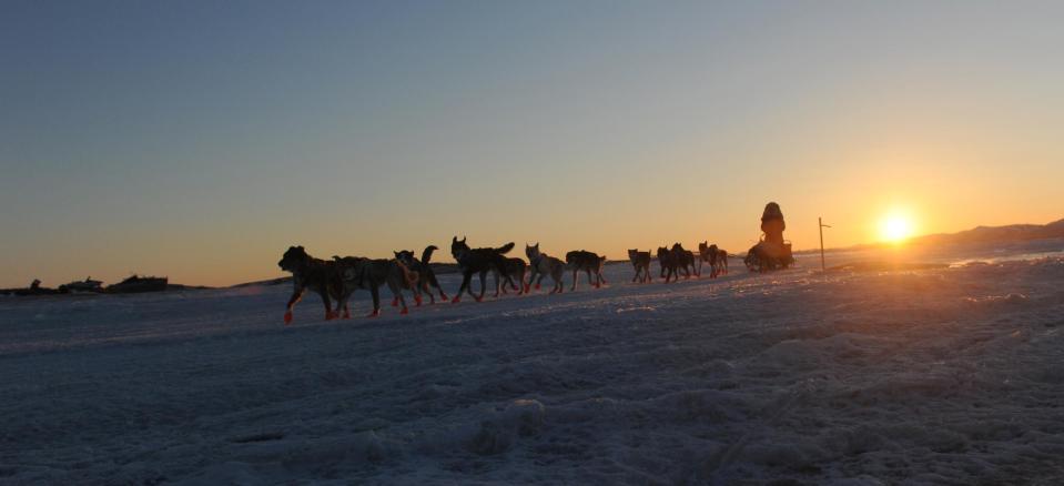 Iditarod musher Michelle Phillips, from Tagish, YT, Canada, arrives at the Unalakleet checkpoint at sunrise during the 2014 Iditarod Trail Sled Dog Race on Sunday, March 9, 2014. (AP Photo/The Anchorage Daily News, Bob Hallinen)