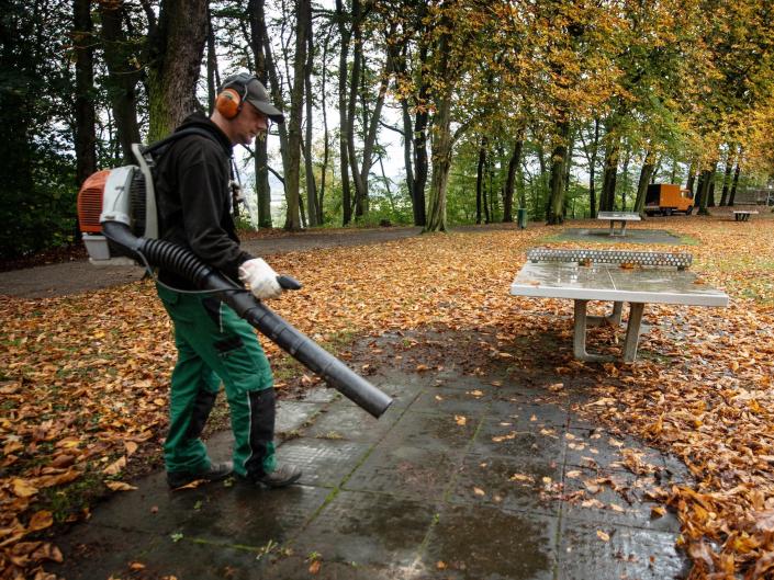 california-is-banning-gas-powered-leaf-blowers-lawn-mowers-and-weed