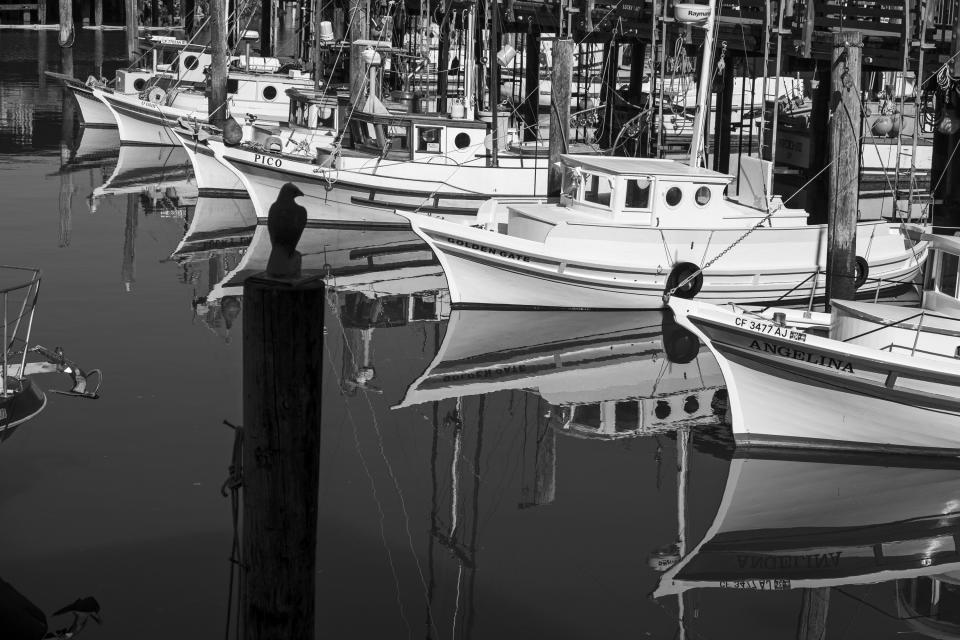 Felucca fishing boats are tied up at Fisherman's Wharf in San Francisco on April 24, 2020. Normally, the months leading into summer bring bustling crowds to the city's famous landmarks, but this year, because of the coronavirus threat they sit empty and quiet. Some parts are like eerie ghost towns or stark scenes from a science fiction movie. (AP Photo/Eric Risberg)