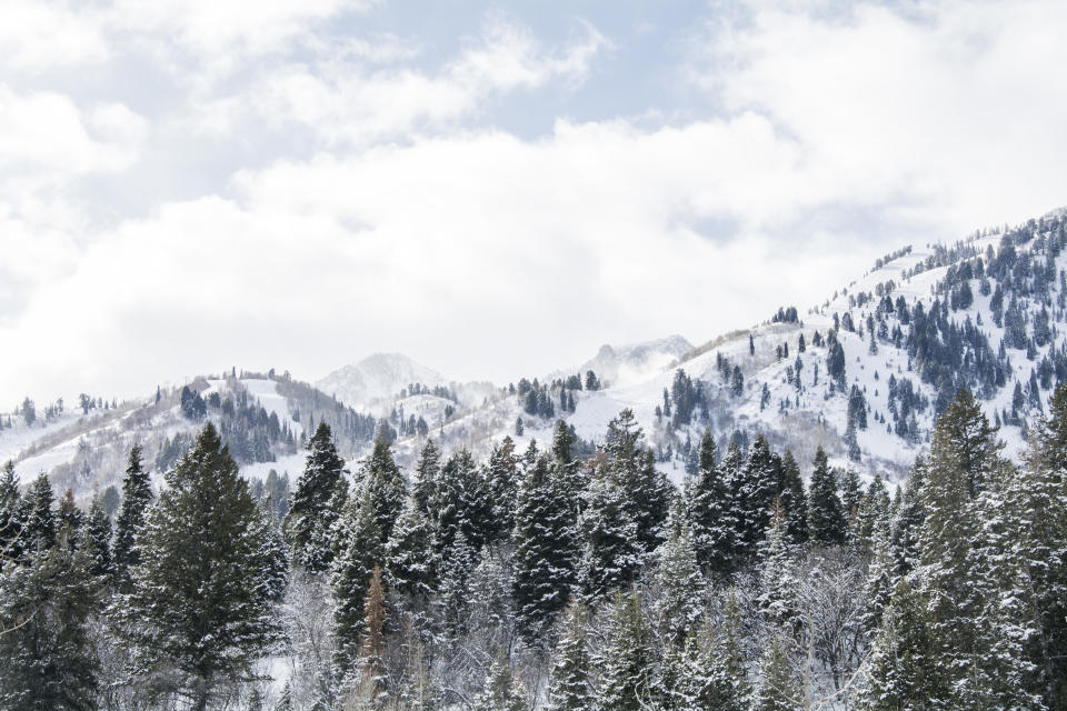 Mountains and trees in snowy Ogden