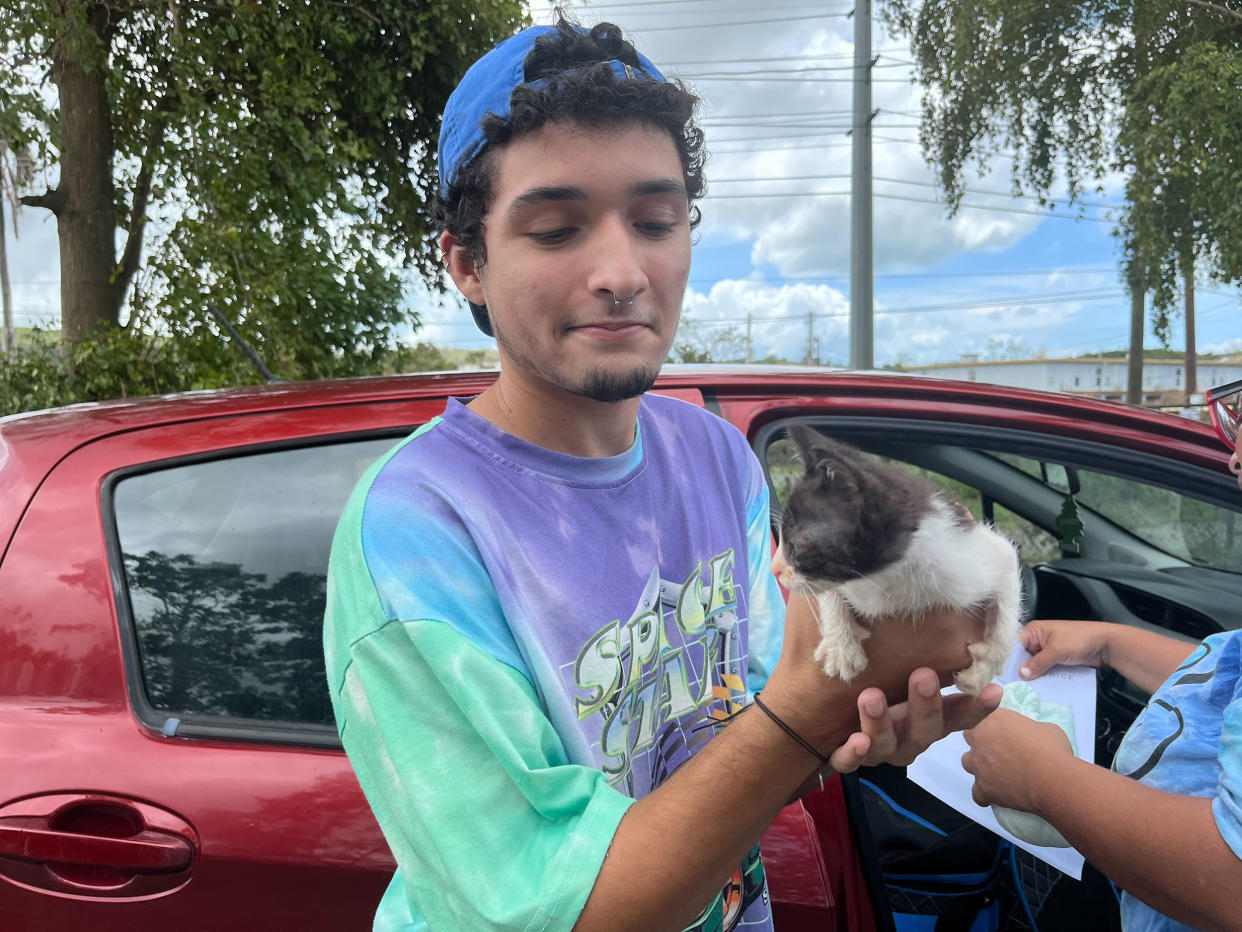 One sanctuary staff member holds a 3-week old kitten, who was found abandoned in an oil barrel at a mechanic shop. (Danielle Campoamor / TODAY)