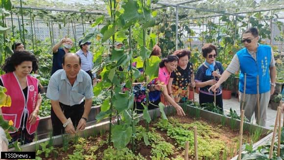 板橋區長陳奇正（右一）訪視板橋民生公園市民活動中心頂樓可食地景。（圖：板橋區公所提供）