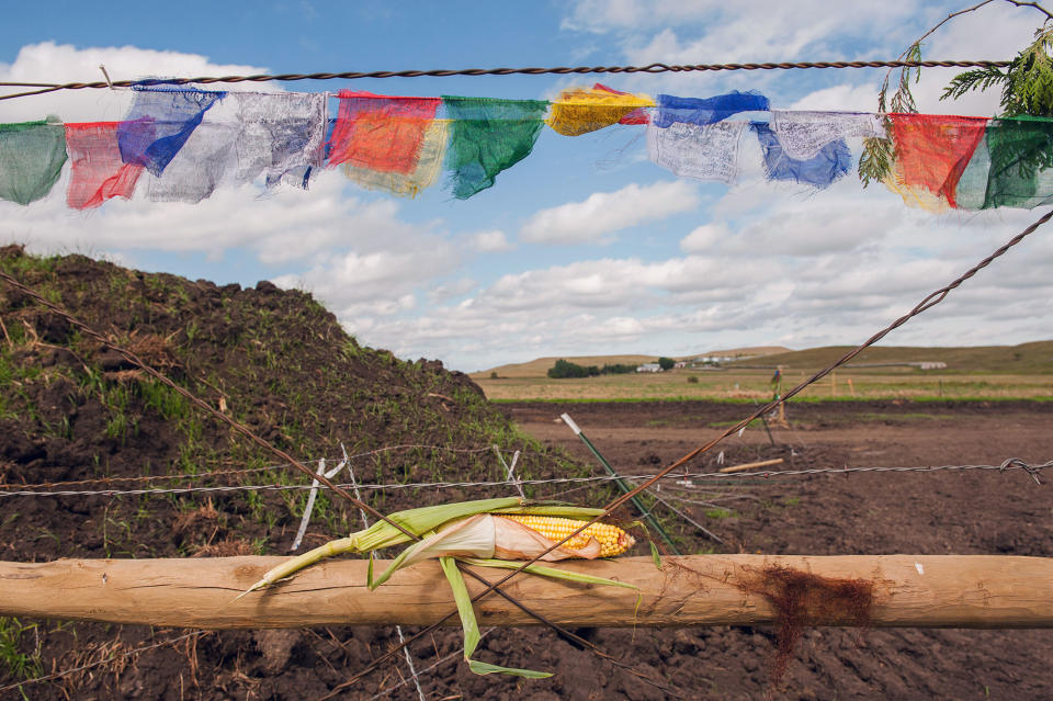 Protesting the Dakota Access pipeline