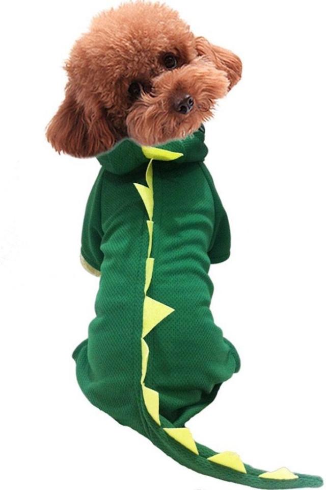 33 Most Adorable Dog Outfits You Can Buy Now — Best Life