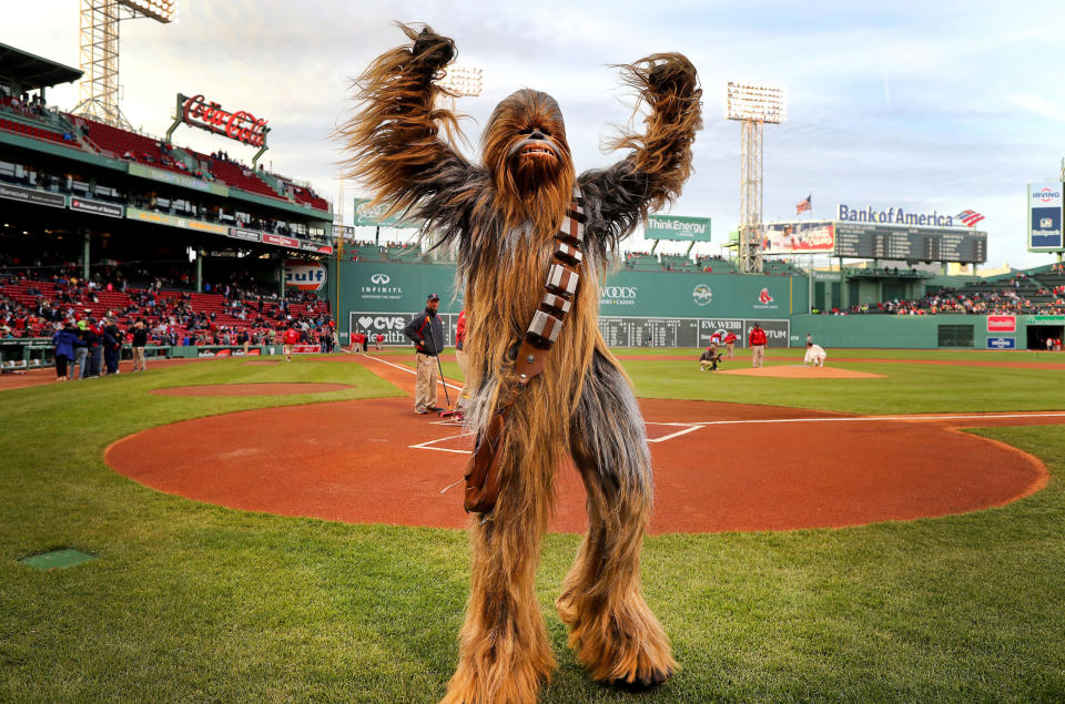 Chewbacca at Fenway Park