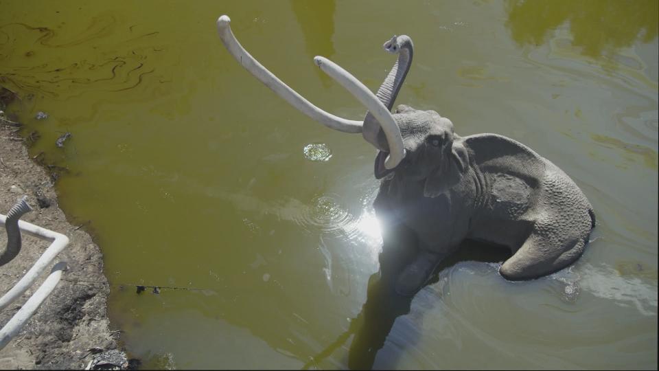 VFX were added to the La Brea Tar Pits (Before) - Credit: NBC