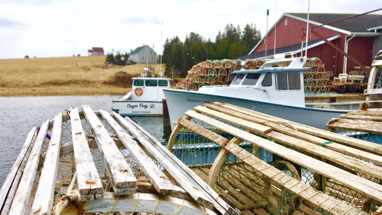 P.E.I. fishermen call for more officers to combat illegal fishing