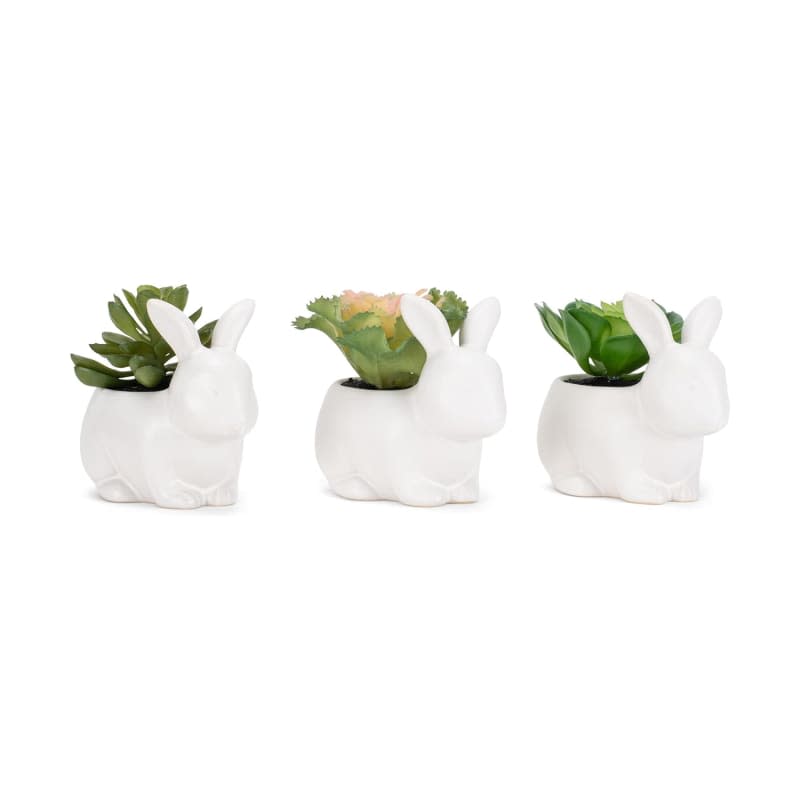 NAT & Jules Bunny White 4.5 inch Ceramic Artificial Potted Succulents Set of 3