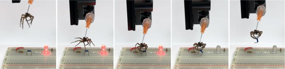 <div class="inline-image__caption"><p>A gripper is used to lift a jumper and break a circuit on an electronic breadboard, turning off an LED.</p></div> <div class="inline-image__credit">Brandon Martin/Rice University</div>