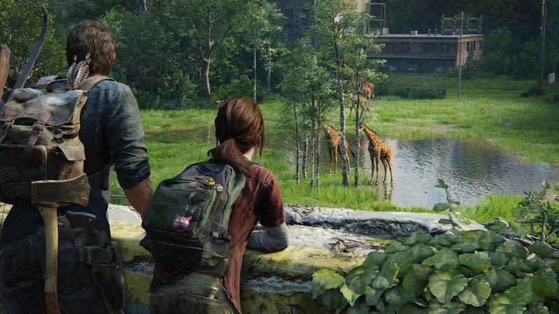 Joel and Ellie are seen watching a group of giraffes walk through a grassy field.