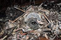 <p>The remains of the burned fuselage of a small plane that crashed are seen in Guanacaste, Corozalito, Costa Rica on December 31, 2017. (Photo: Ezequiel Becerra/AFP/Getty Images) </p>