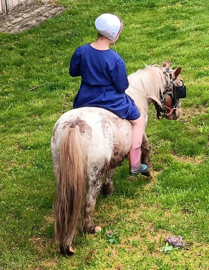 Lovina’s granddaughter Abigail, 7, rides Prancer the miniature pony.